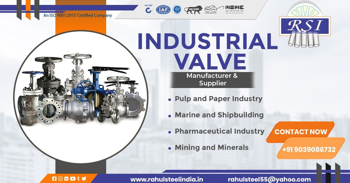 Industrial Valve in Raipur
