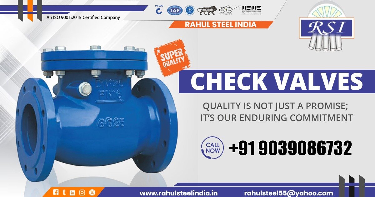 Check Valve Supplier in Chhattisgarh